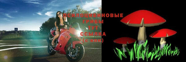 крисы Магас