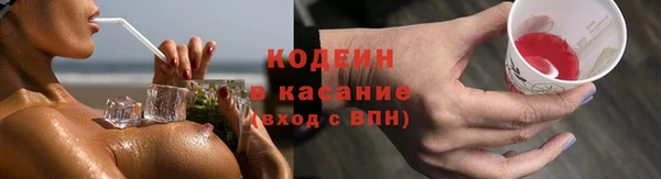 прущие грибы Липки