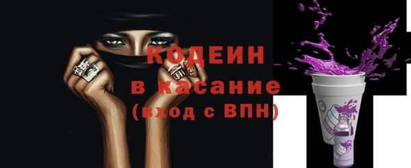 крисы Магас