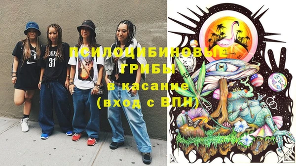 прущие грибы Липки