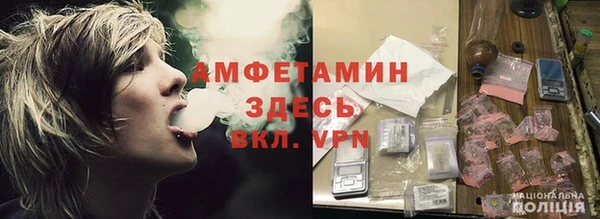 прущие грибы Липки