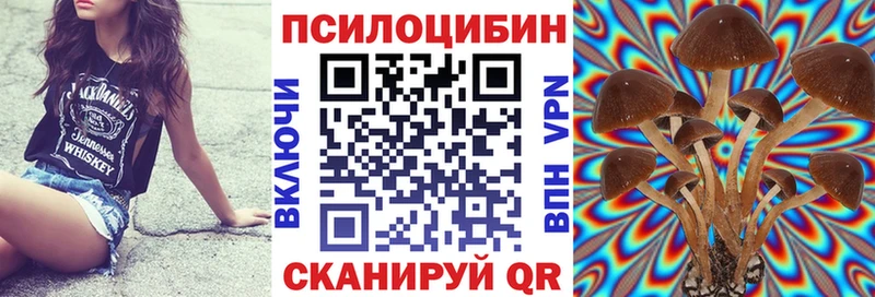Купить закладки  Королёв  Псилоцибиновые грибы мухоморы 